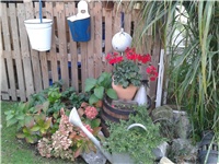 be150b4b-2016-10-09 09.37.10.jpg